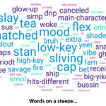 a word cloud of gen z slangs